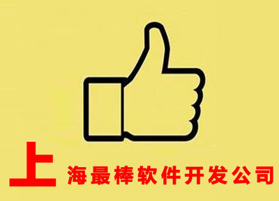 上海卓越軟件開(kāi)發(fā)公司 定制化軟件外包服務(wù)打造高效商業(yè)解決方案